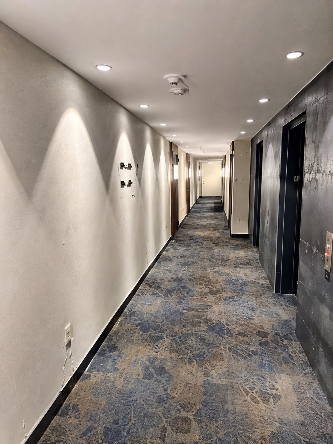 Modern hallway with white walls, recessed ceiling lights, dark doors, and patterned gray carpet flooring